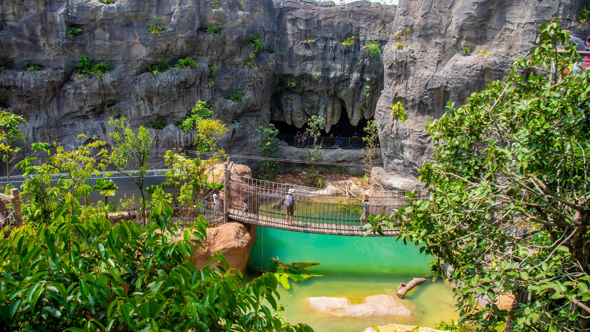 The crocodile bridge of Rainforest Wild Asia - Singapore Zoo 