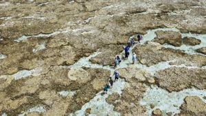 Reef Walk