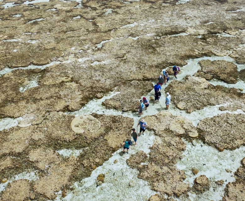 Reef Walk
