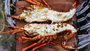 Tasmania Crayfish © Tourism Tasmania and Adam Gibson