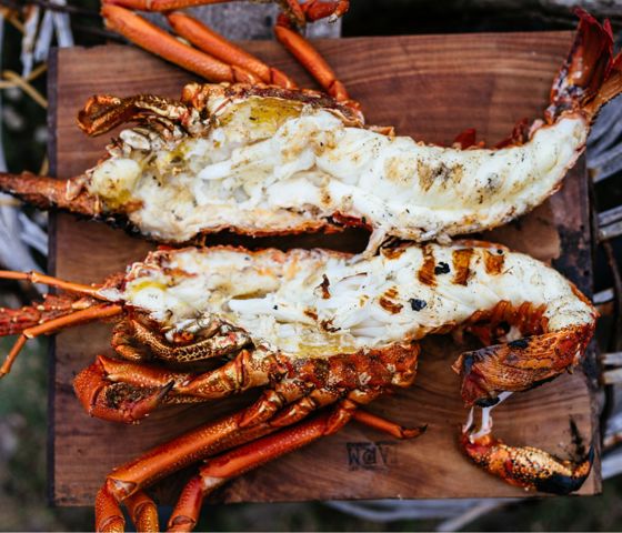 Tasmania Crayfish 137905 © Tourism Tasmania And Adam Gibson