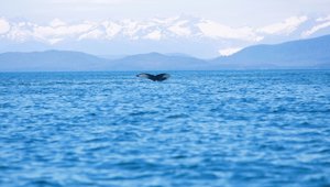 Icy Strait Point, Alaska