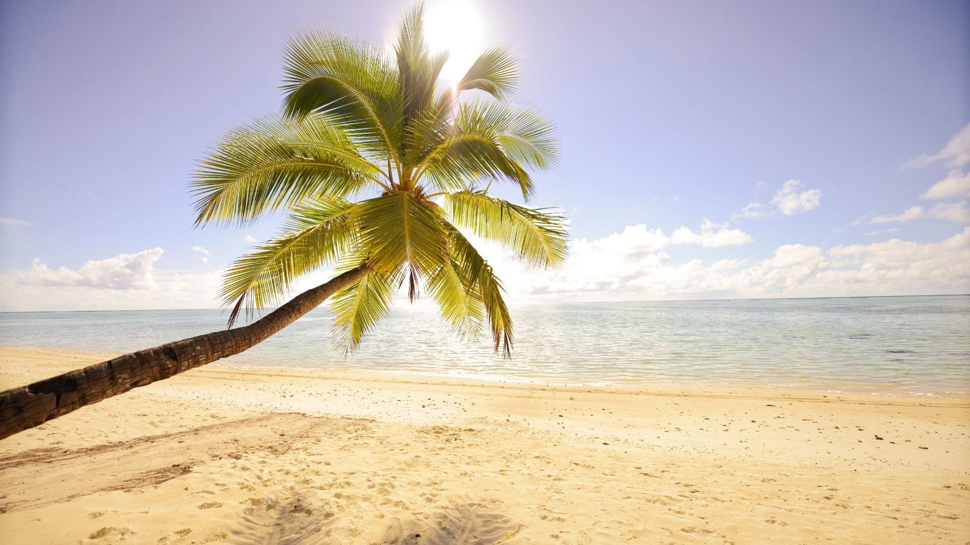 Tamanu Beach - Beach