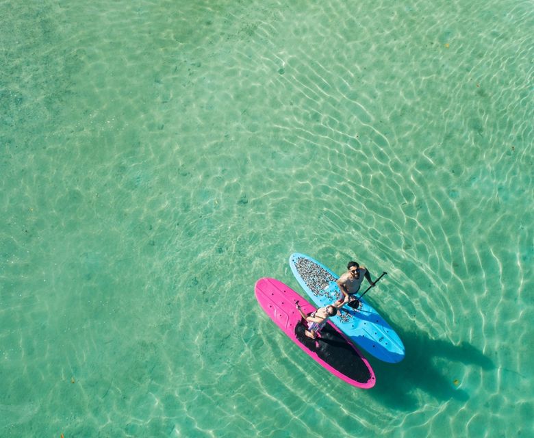 Tropica Stand up paddle board