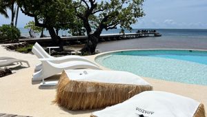 Apatoa Beach & Garden Villa - pool