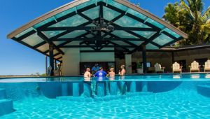 Volivoli Beach Resort - pool