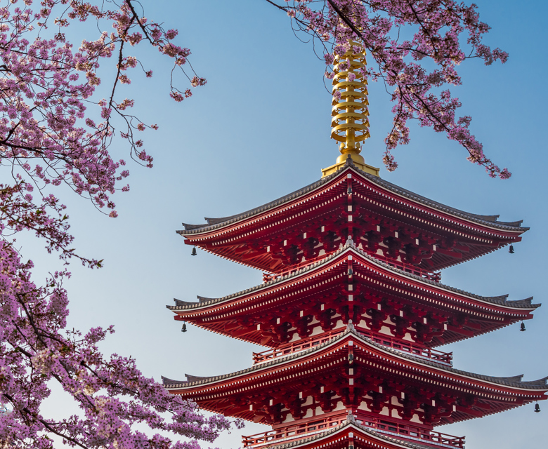 Tokyo Temple