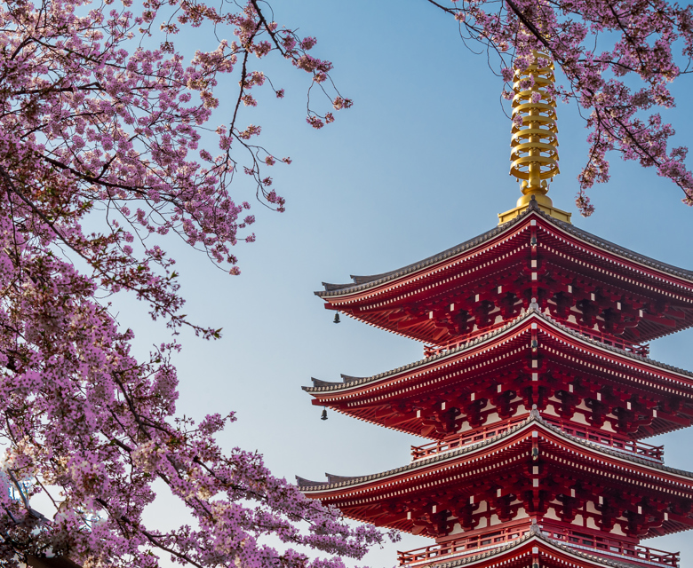 Tokyo Sensoji Temple 