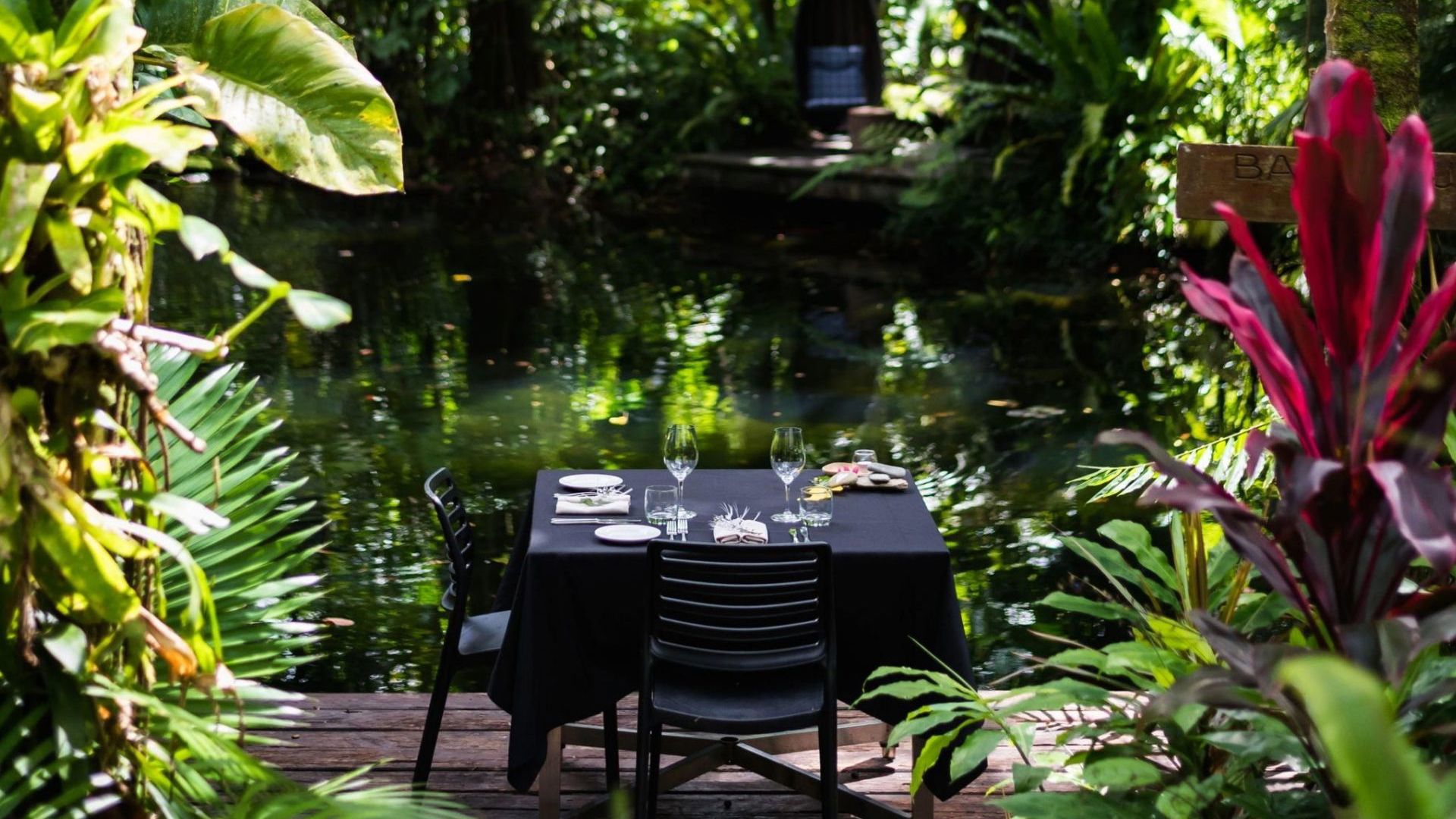 Daintree Eco Lodge 
