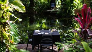 Daintree Eco Lodge 