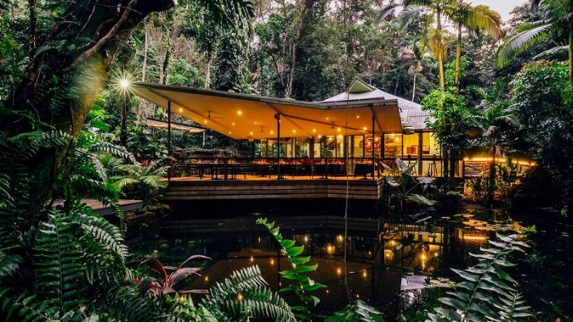 Daintree Eco Lodge 