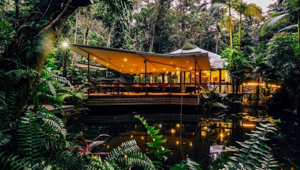 Daintree Eco Lodge 