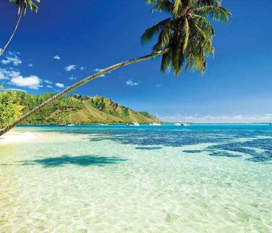 Tahiti
