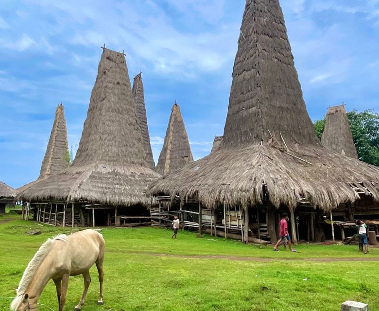 Sumba Island - Traditional Village