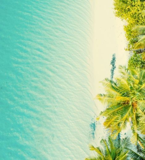 Ariel view of beach with greenery