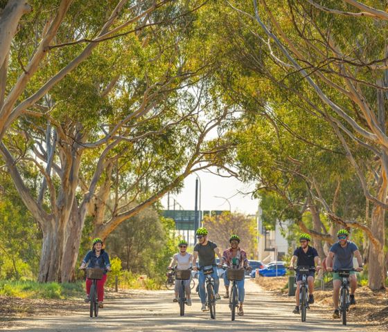 Bikeabout City Adelaide 