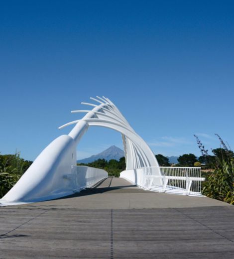 Walk way bridge in New Plymouth