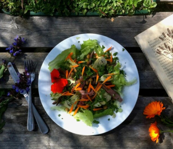 Fair Harvest Margaret River CR Untamed Escapes