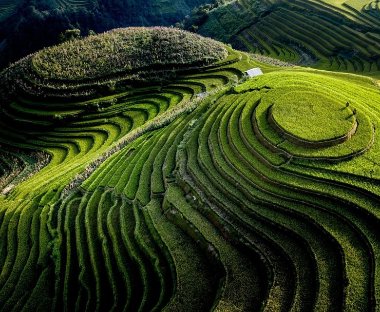 Beautiful Vietnam Rice Fields