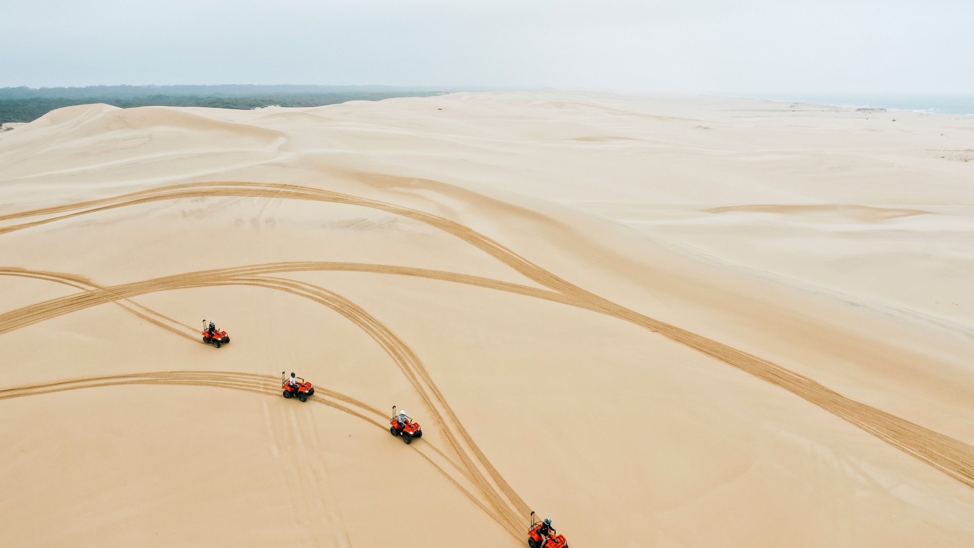 173754 Stockton Sand Dunes, Port Stephens