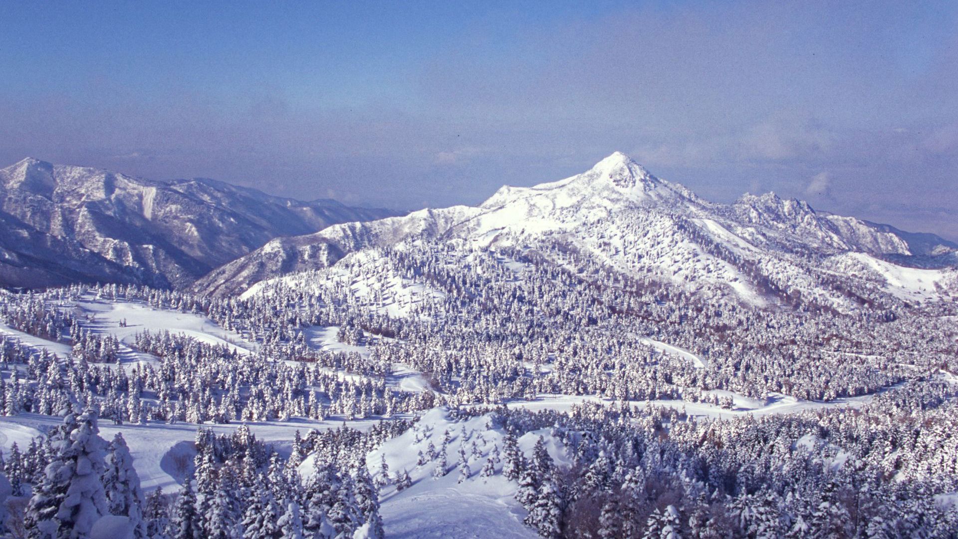Shiga Kogen Resort - Travel & Co