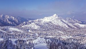 Shiga Kogen Resort - Travel & Co