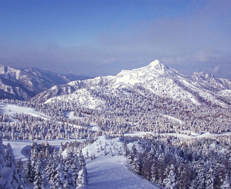 Shiga Kogen Resort - Travel & Co