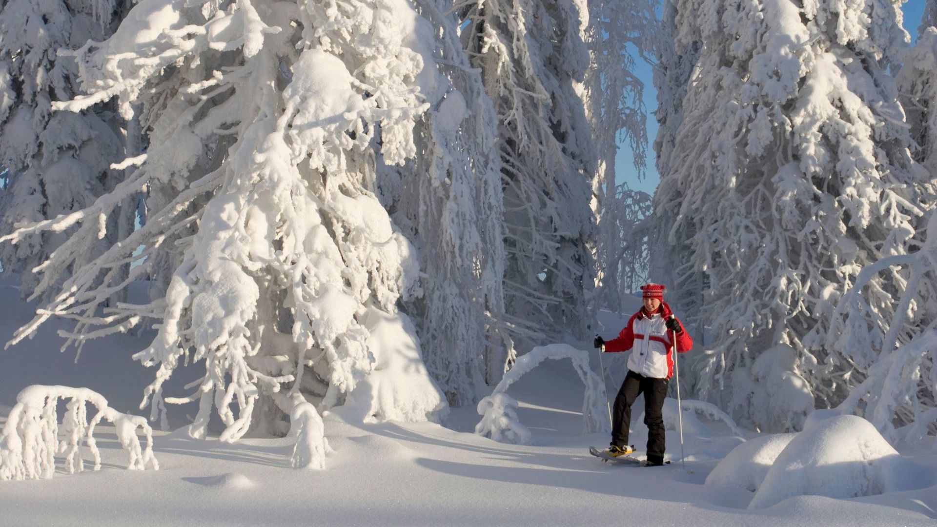 Snowshoeing © Hannu Huttu
