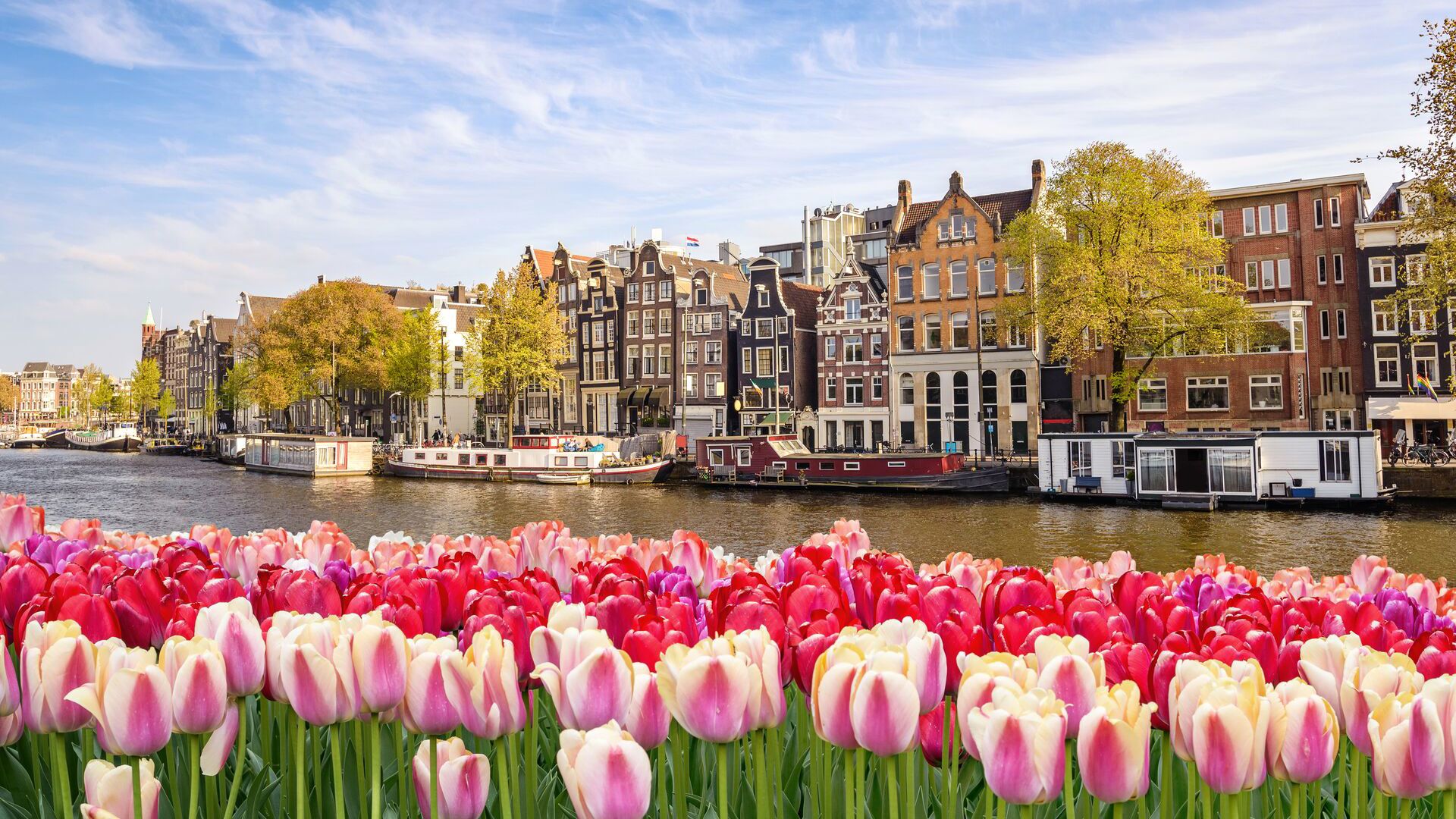 Amsterdam, Netherlands