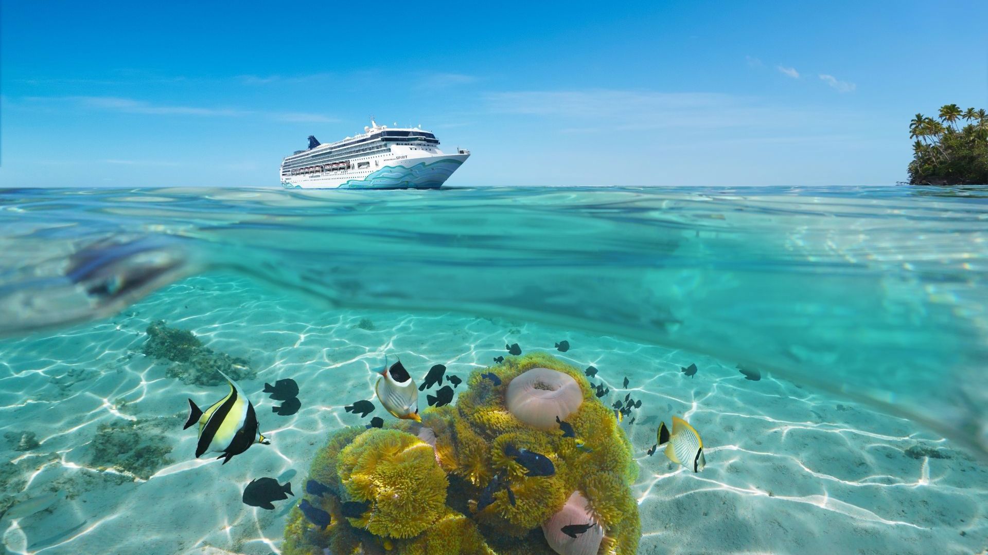 Norwegian Spirit in South Pacific