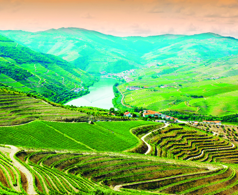 Douro Valley Portugal