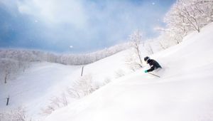 Myoko Kogen Travel & Co