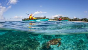 Lady Elliot Island Kayak Tours