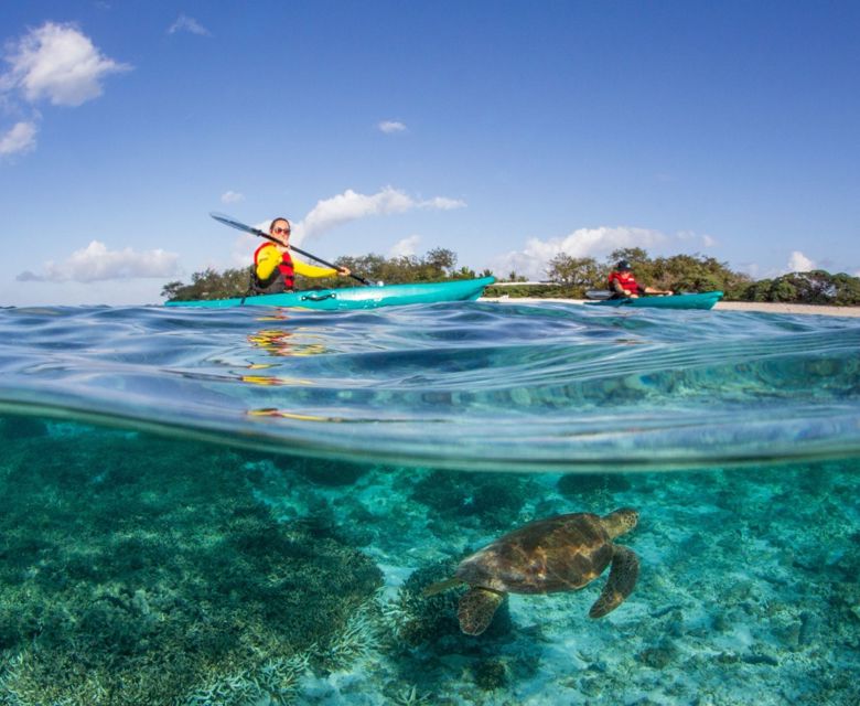 Lady Elliot Island Kayak Tours