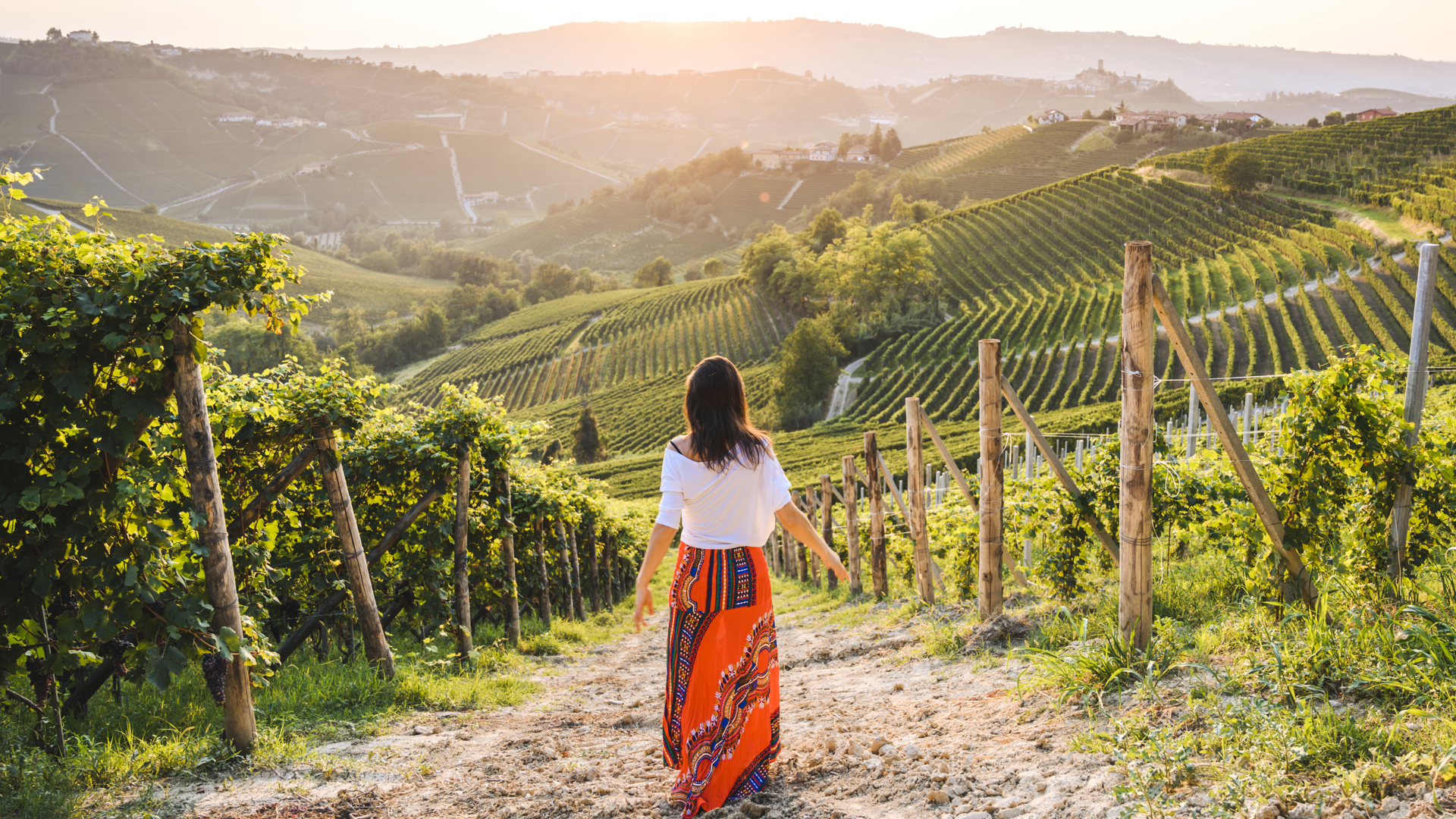 Vineyard in Italy - Credit: Getty Images