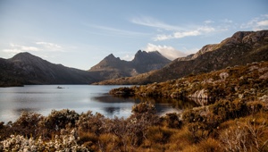 Cradle Mountains Credit Cultivate Productions