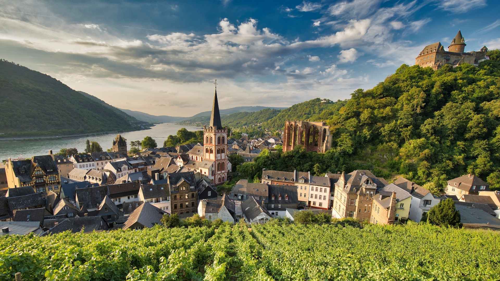 The Rhine - Germany