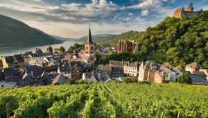 The Rhine - Germany