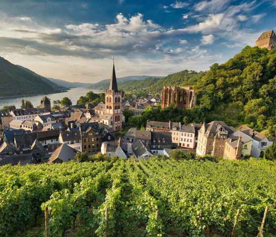 Germany Rhine Valley 