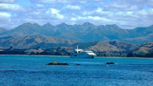Scenic Cruising - Kaikoura