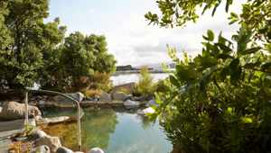 Tauranga Nature Spa in New Zealand