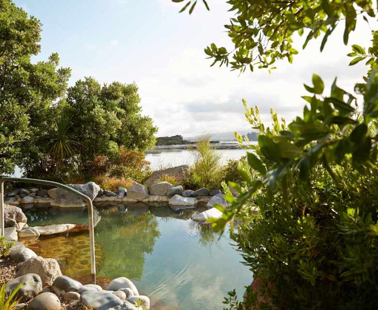 Tauranga NZ