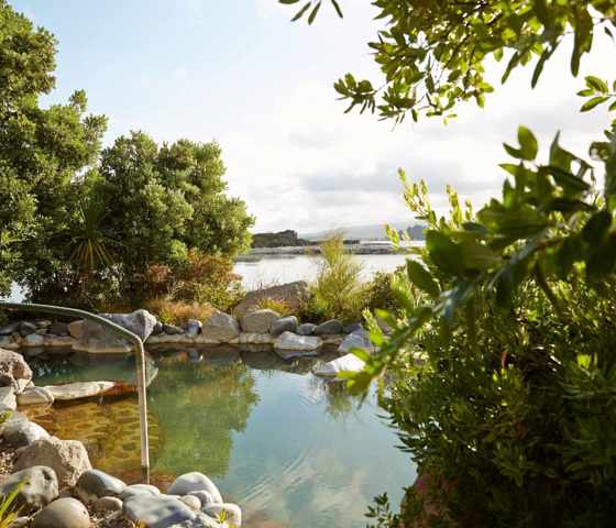Tauranga NZ