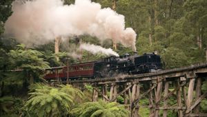 Melbourne Train