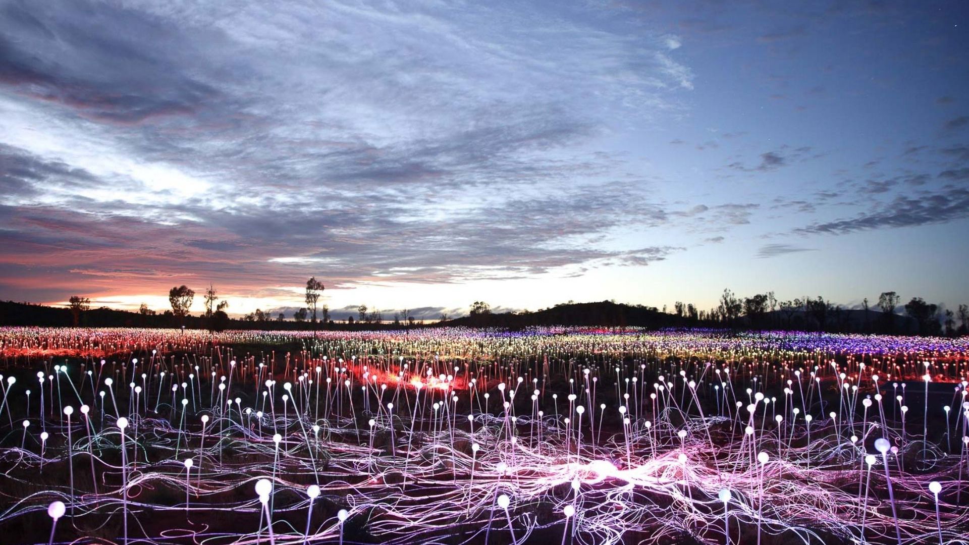 OST Red Centre Explorer - Field of Light