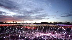 OST Red Centre Explorer - Field of Light