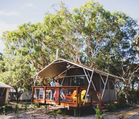 Koala Sanctuary Port Stephens, One Mile 177519 © Destination NSW