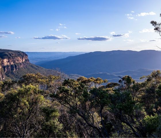 198396 Jamison Lookout Blue Mountains National Park CR DNSW