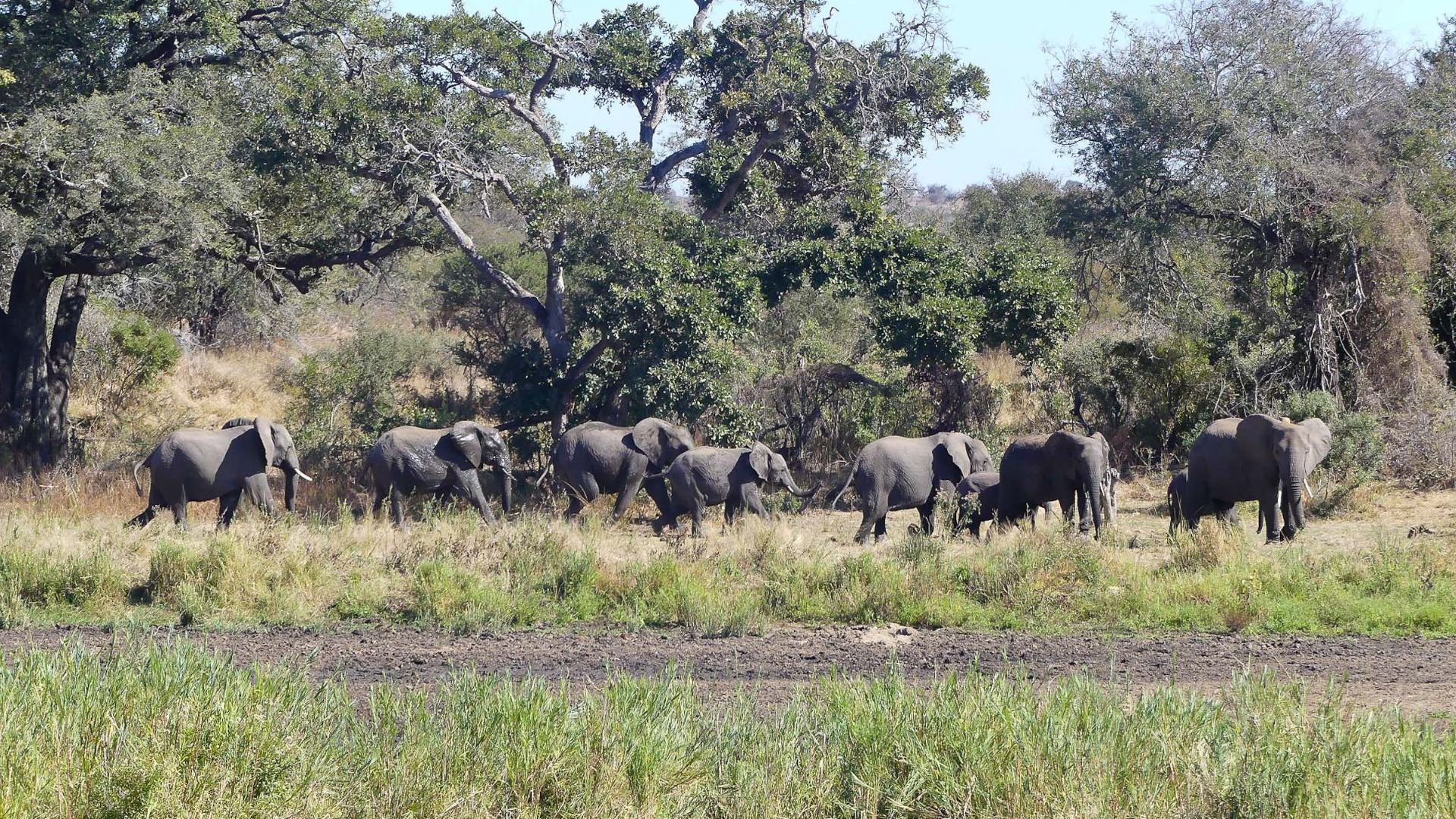 Sunway South Africa Kruger Emily Barnett-1020138