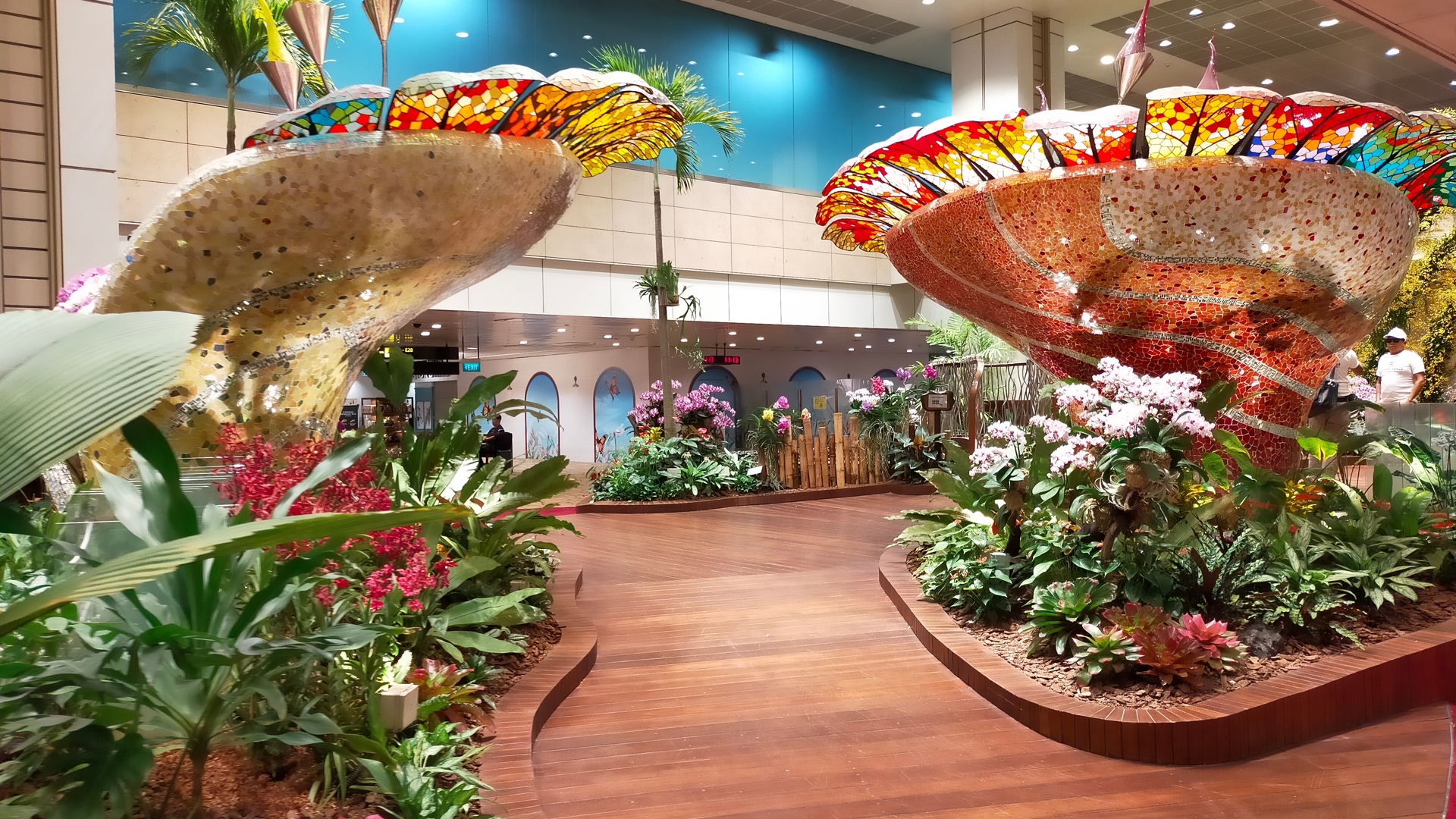 Singapore's national flower is celebrated at the Orchid Garden in Terminal 2